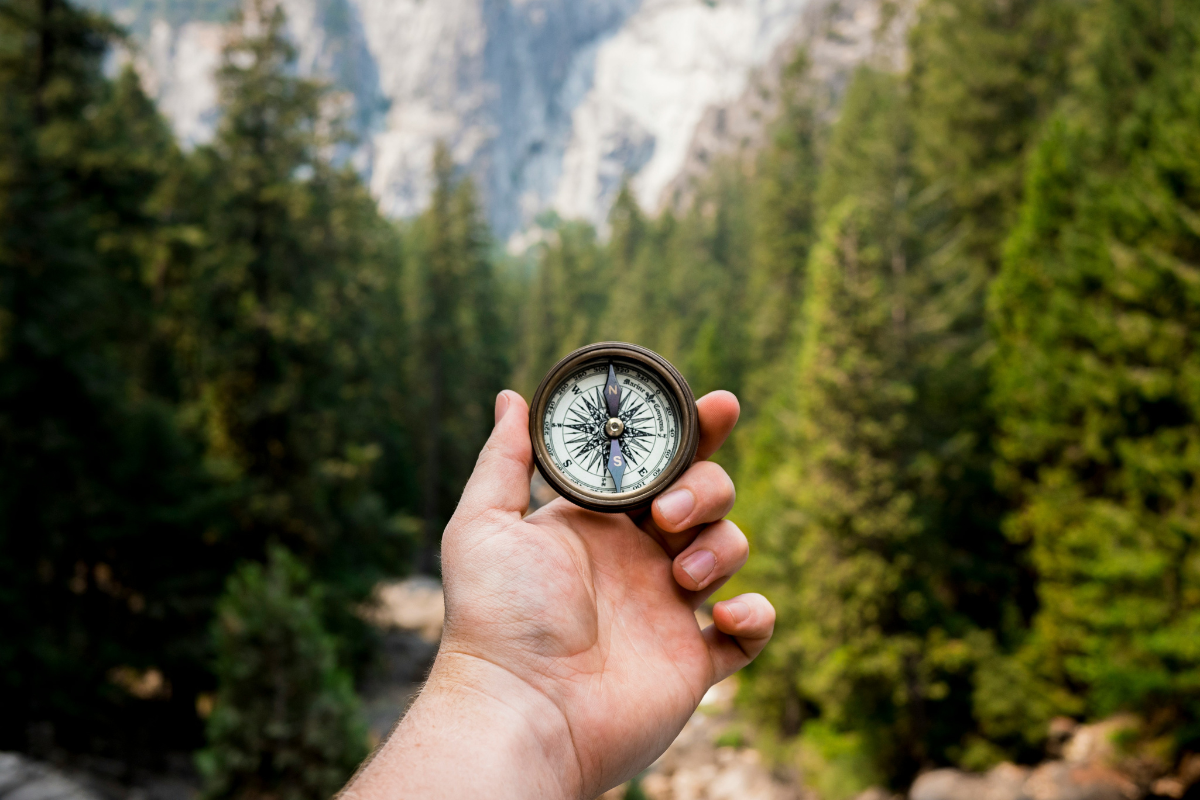 A light skinned hand holds a compass. There are trees in the background