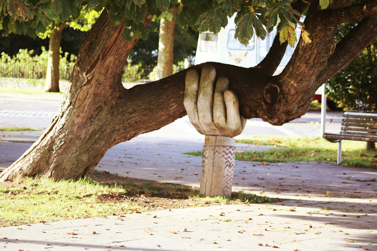 A sculpture of a hand holds up a mature tree