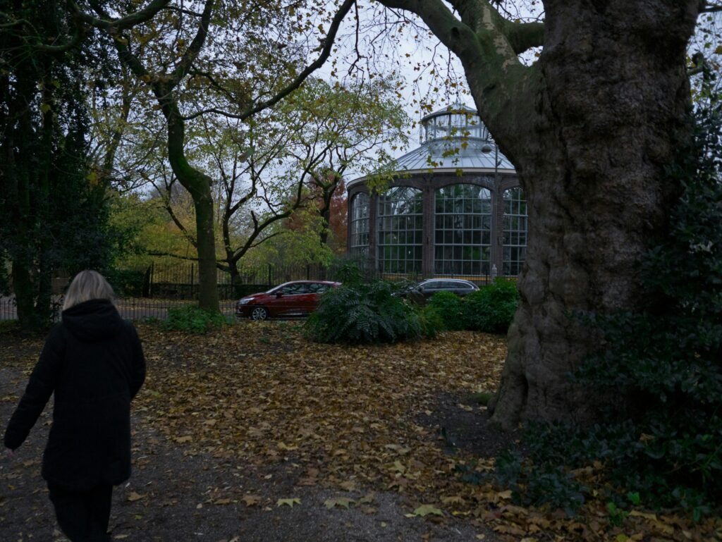 embodied tech work image of a city park in the fall